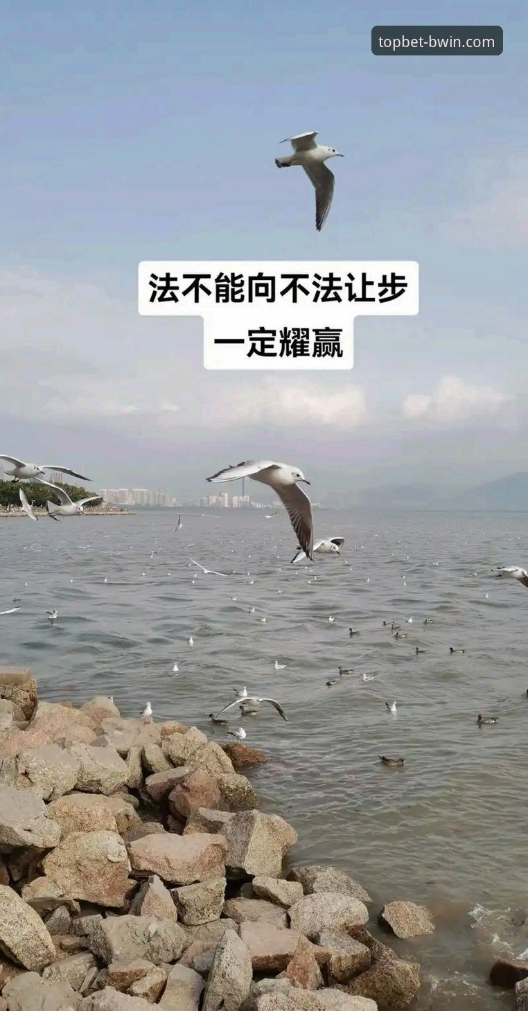 必赢官网 必赢体育平台核心价值深度分析:从入口选择到安全体验的全面解析